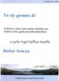 Yn dy gwmni di